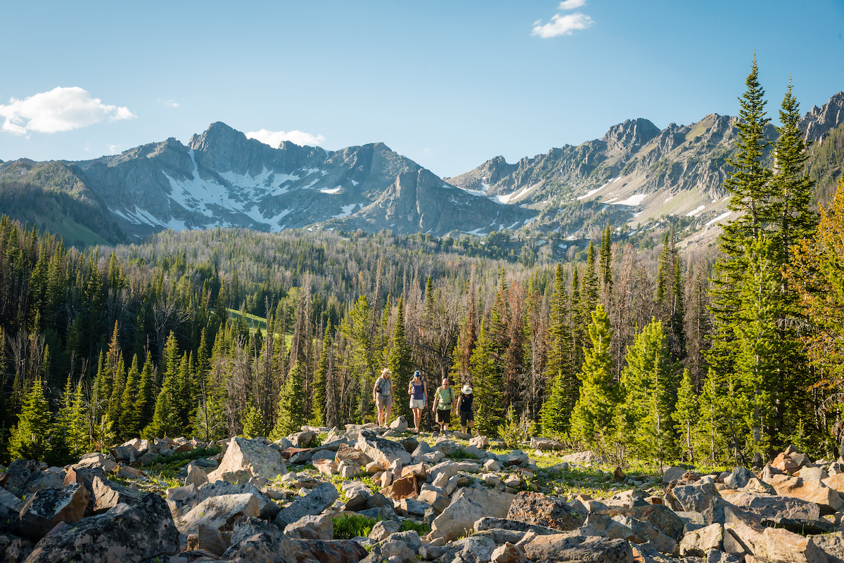 Four people stand on rocky ground surrounded by pine trees, with tall, rugged mountains and patches of snow visible in the background under a clear blue sky.