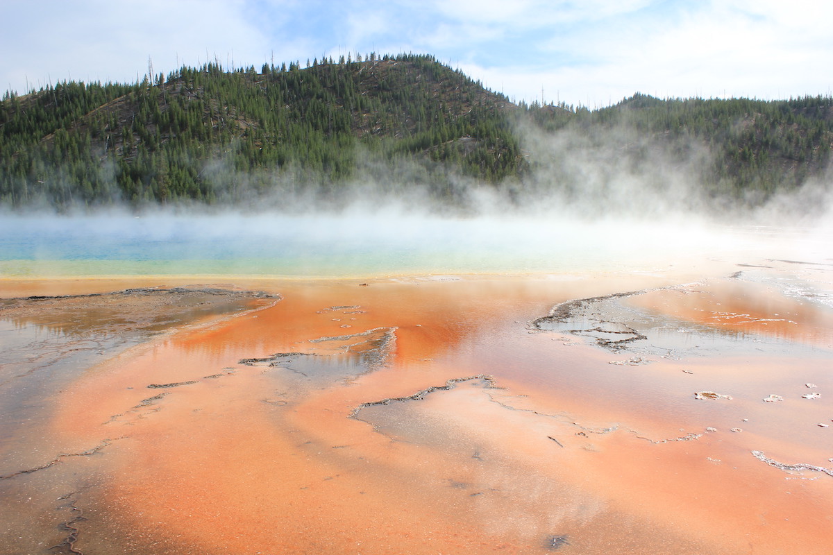 Steam rises from colorful geothermal pools with orange mineral deposits in the foreground and forested hills in the background.