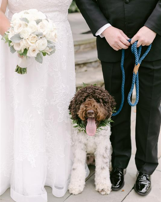 bride, groom and dog