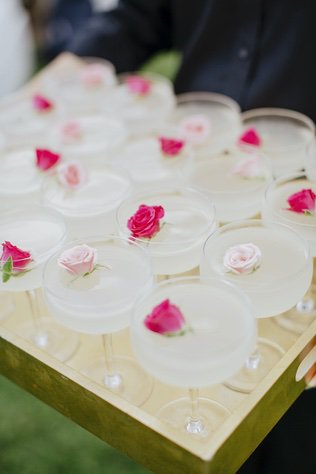 Rosey Cocktails