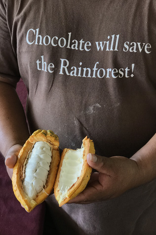 Maya Belizean Chocolate