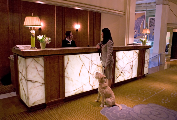Pet-Friendly Resorts & Hotels
