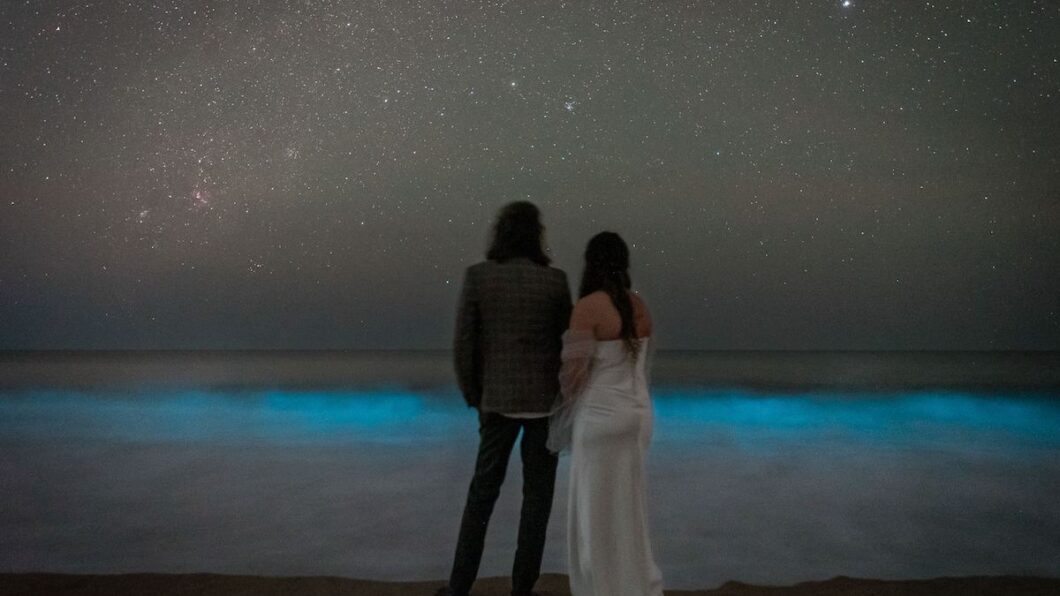 Two people dressed formally stand on a beach at night, facing the ocean with glowing blue waves and a star-filled sky overhead.
