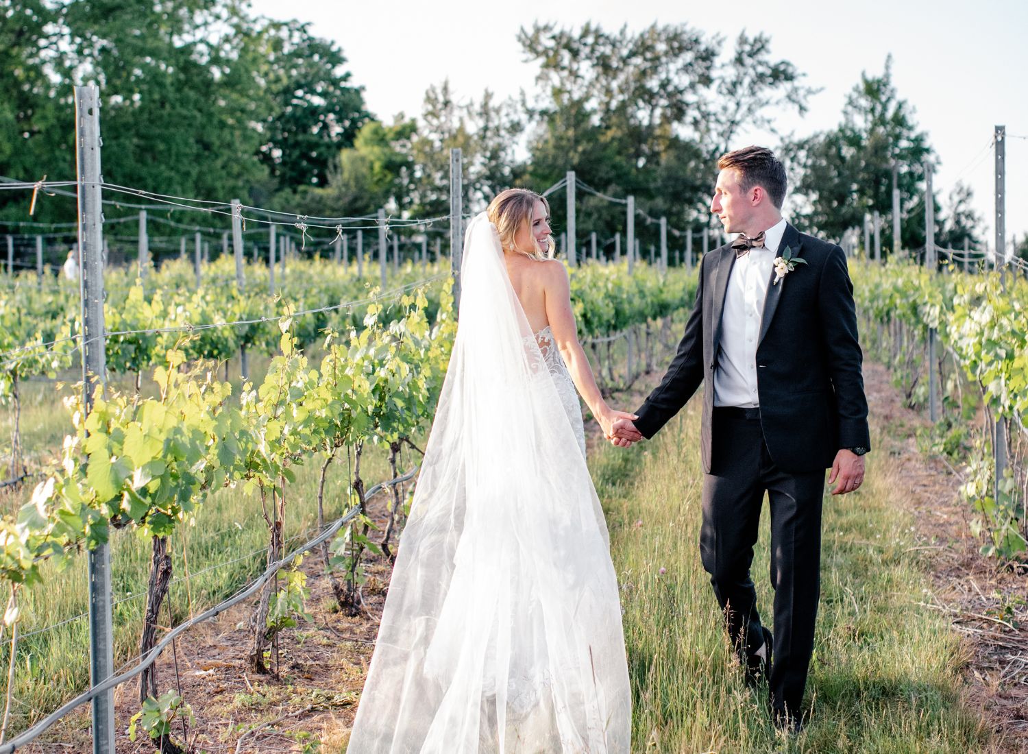 couple in vineyards