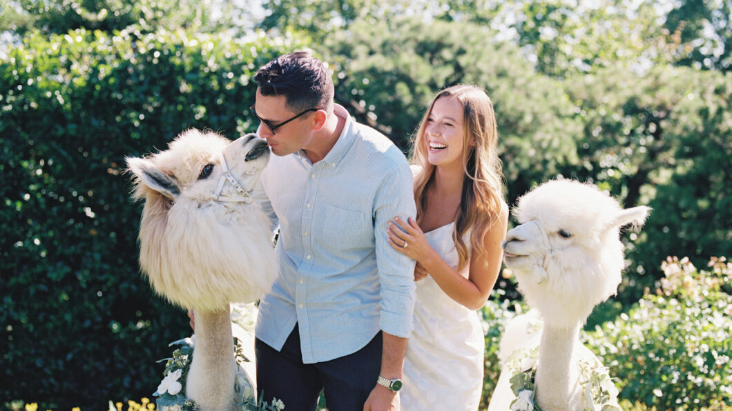 couple with alpacas