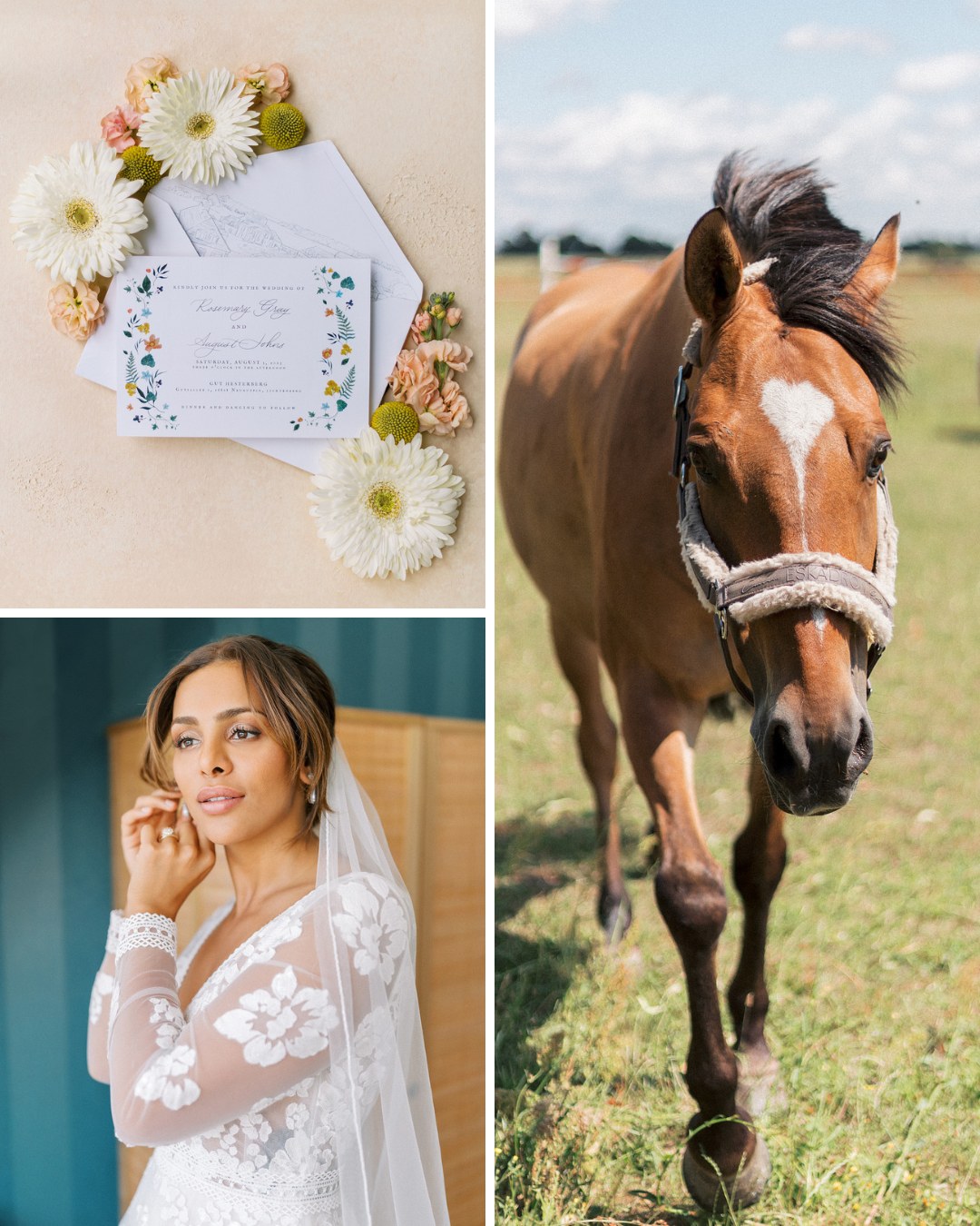 Collage of a horse, a bride and wedding invitations