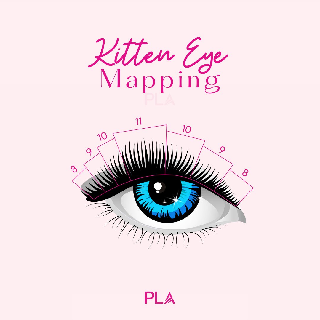 Kitten eyelash mapping guide
