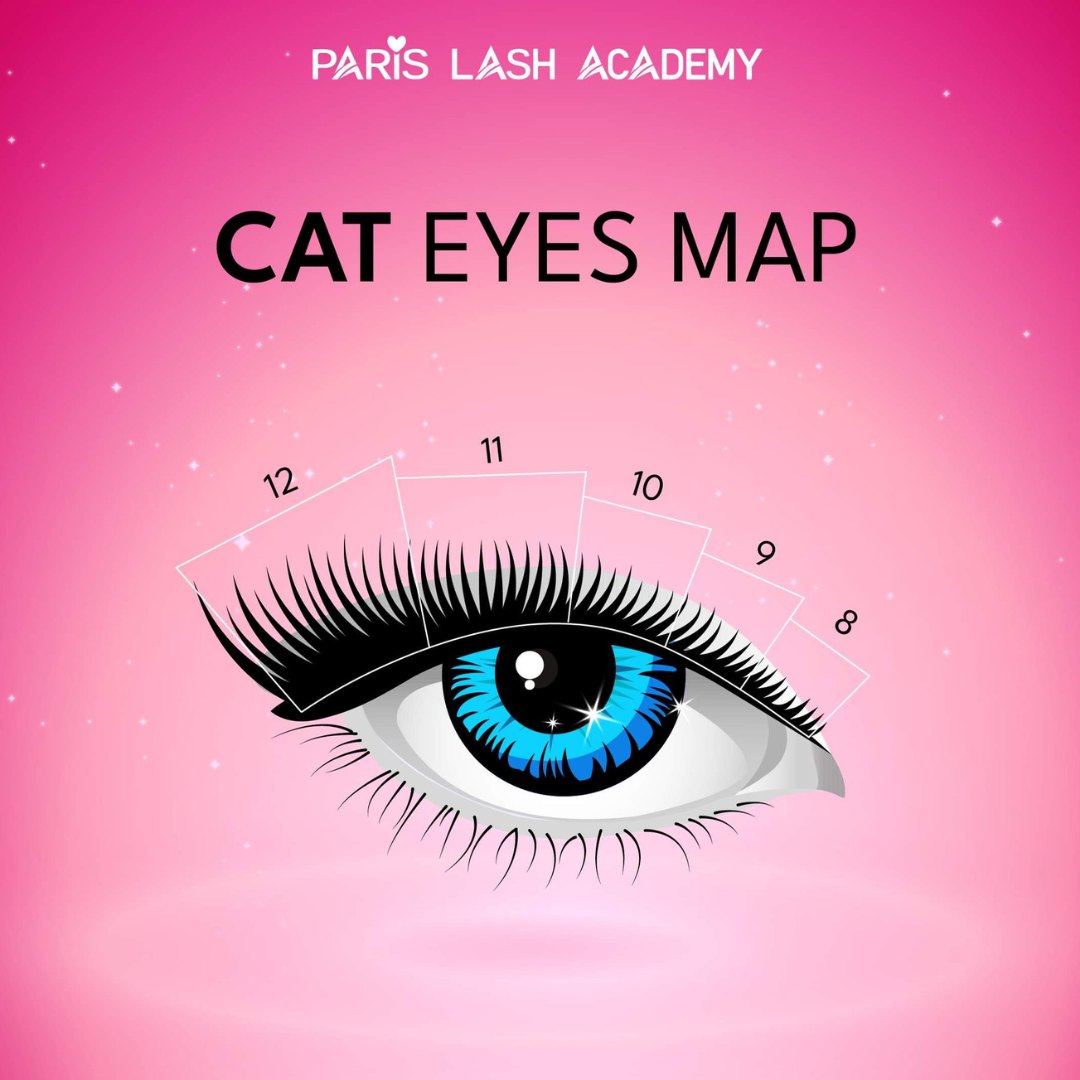 Cat eyes eyelash mapping guide