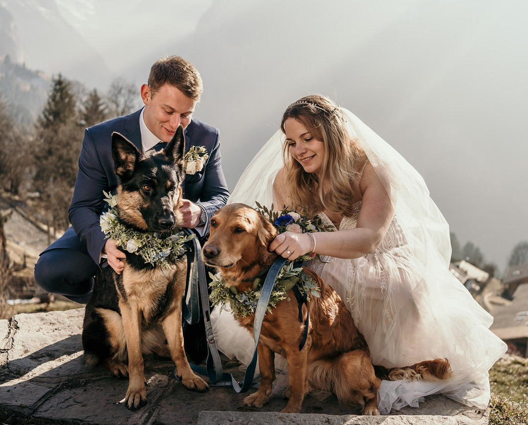 couple with their two dogs