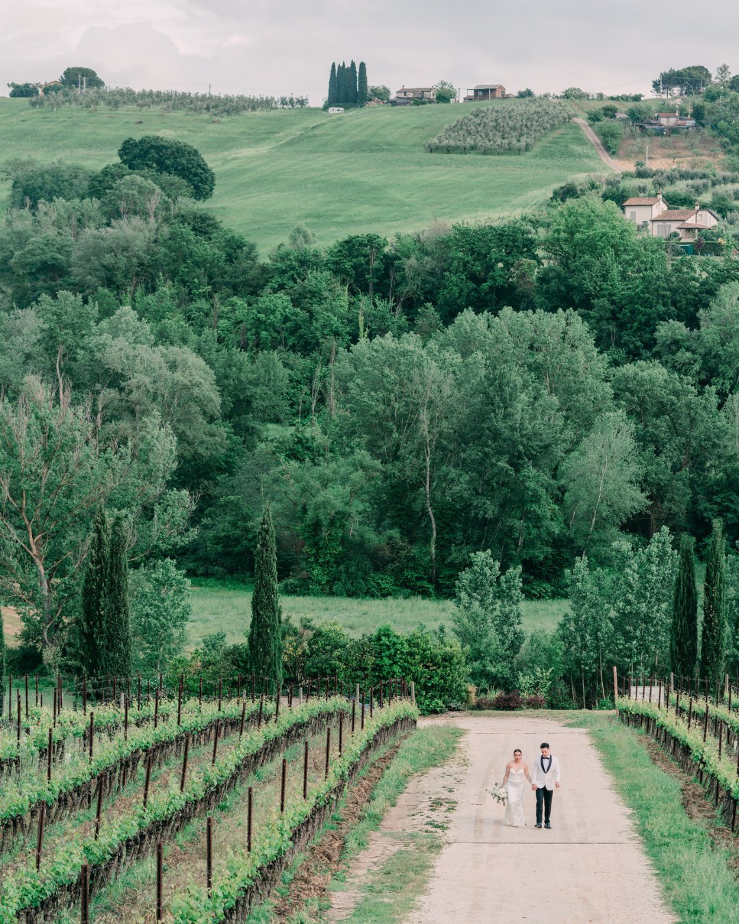 A couple walks hand in hand down a vineyard path, surrounded by lush green fields and trees, with rolling hills in the background.
