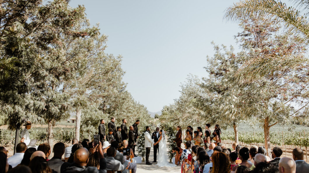 bride and groom say vows in front of loved ones and surrounded by Baja California vineyard
