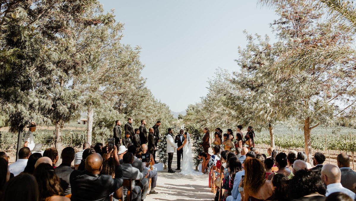 bride and groom say vows in front of loved ones and surrounded by Baja California vineyard