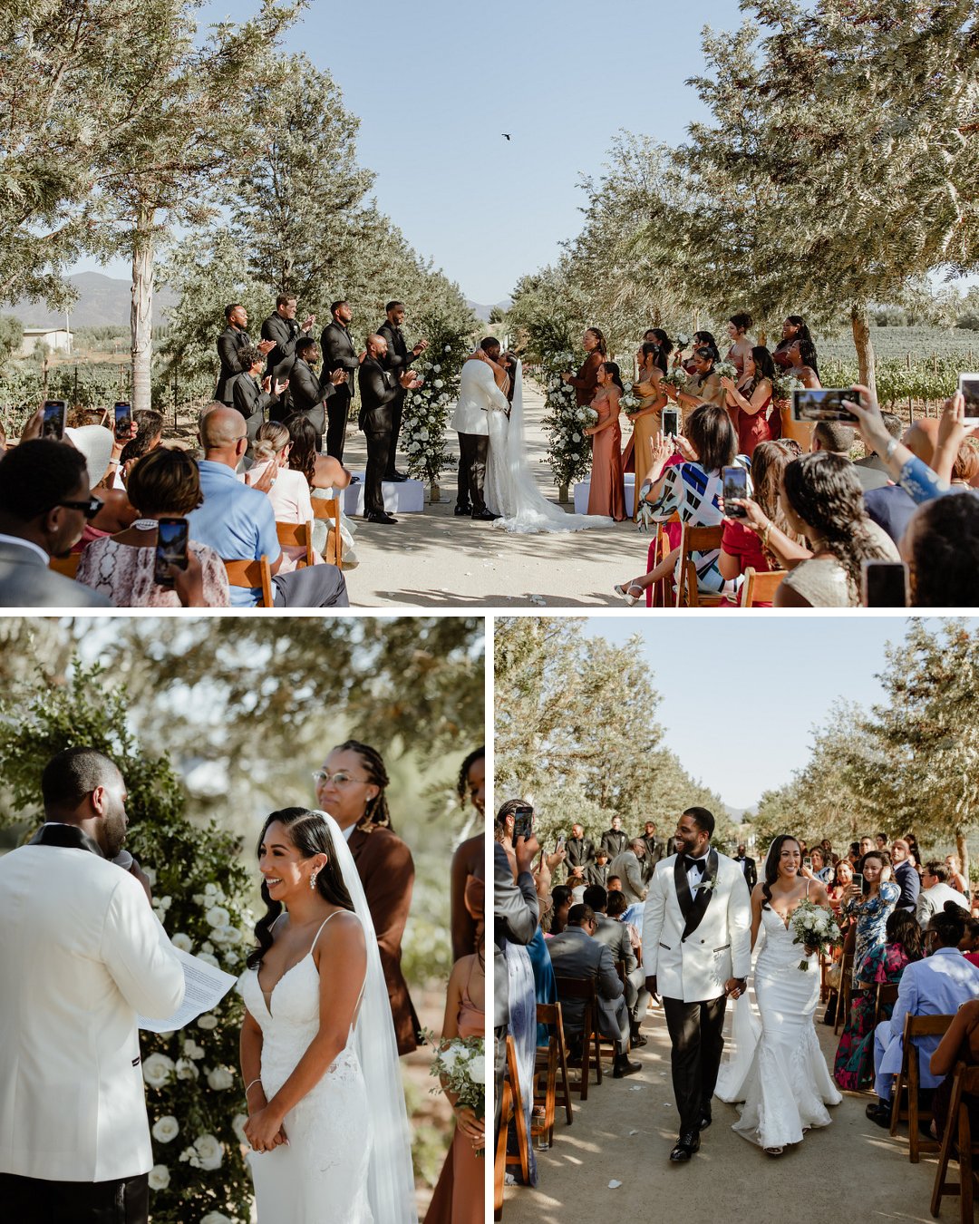 couple kiss at vineyard wedding altar, then walk back hand-in-hand smiling at guests