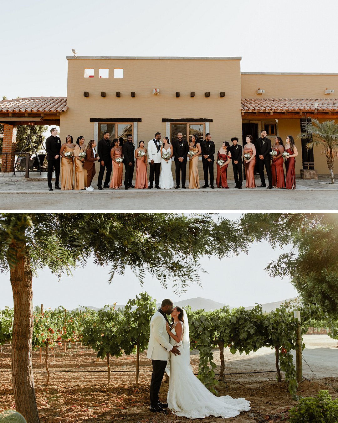 couple pose with wedding group at Rancho Los Retoños, bride and groom in white kiss in Baja California vineyard