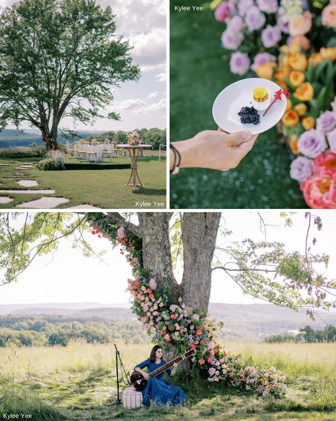 A picturesque outdoor setting features a large decorated tree, a musician playing guitar, and elaborate floral arrangements. An elegant dining table stands on lush grass. A close-up shows an upscale plate with a small gourmet dish. The weather is sunny and bright.