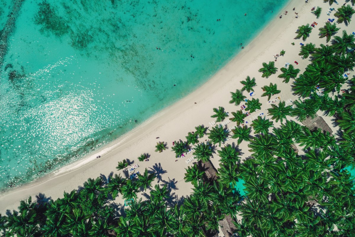 aerial shot of turquoise waters and a beach lined with palm trees