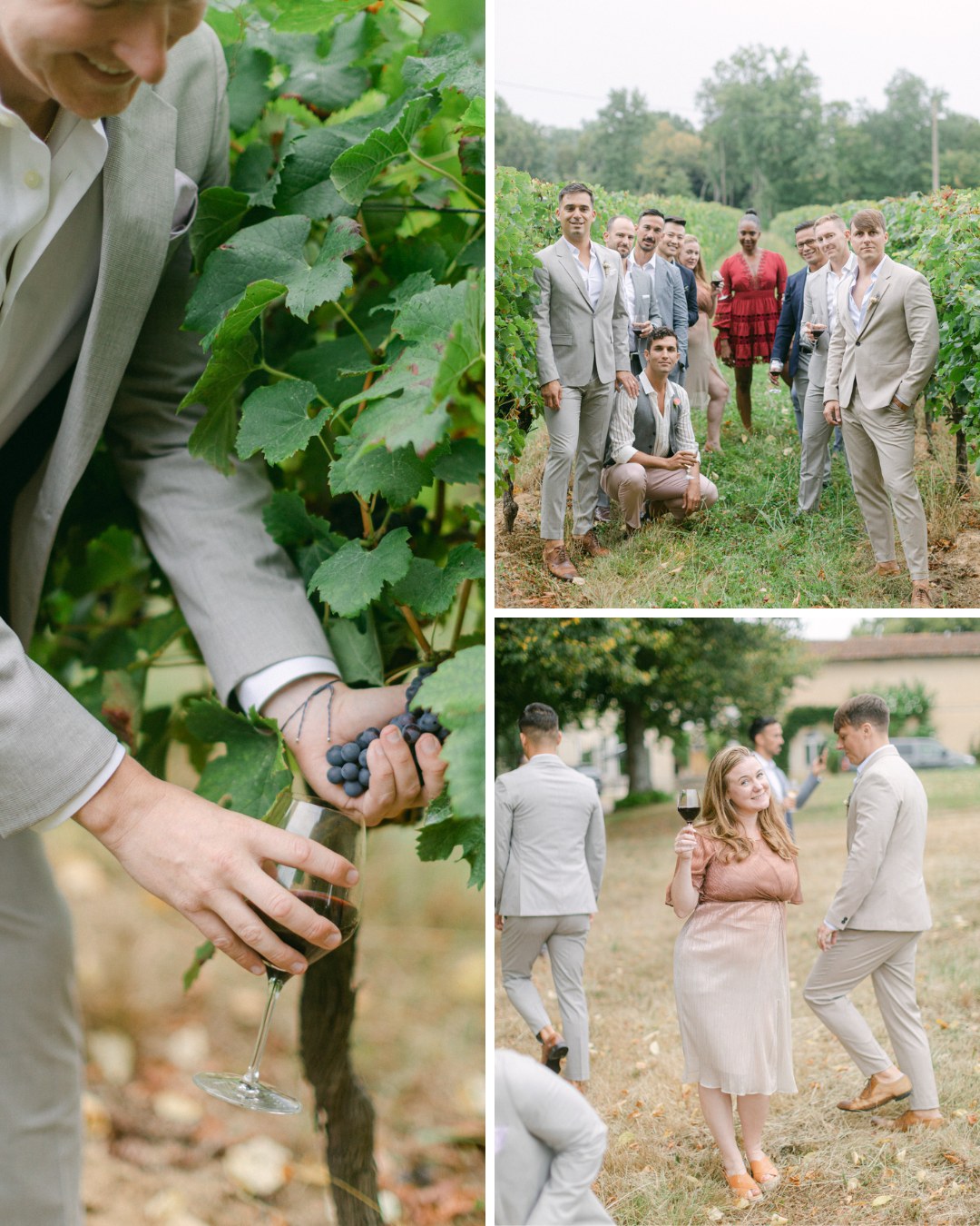 A collage of three images from a vineyard: Top left shows a person holding a bunch of grapes; Top right features a group of people in formal attire posing among the vines; Bottom right shows a woman in a beige dress smiling while others walk away in the background.