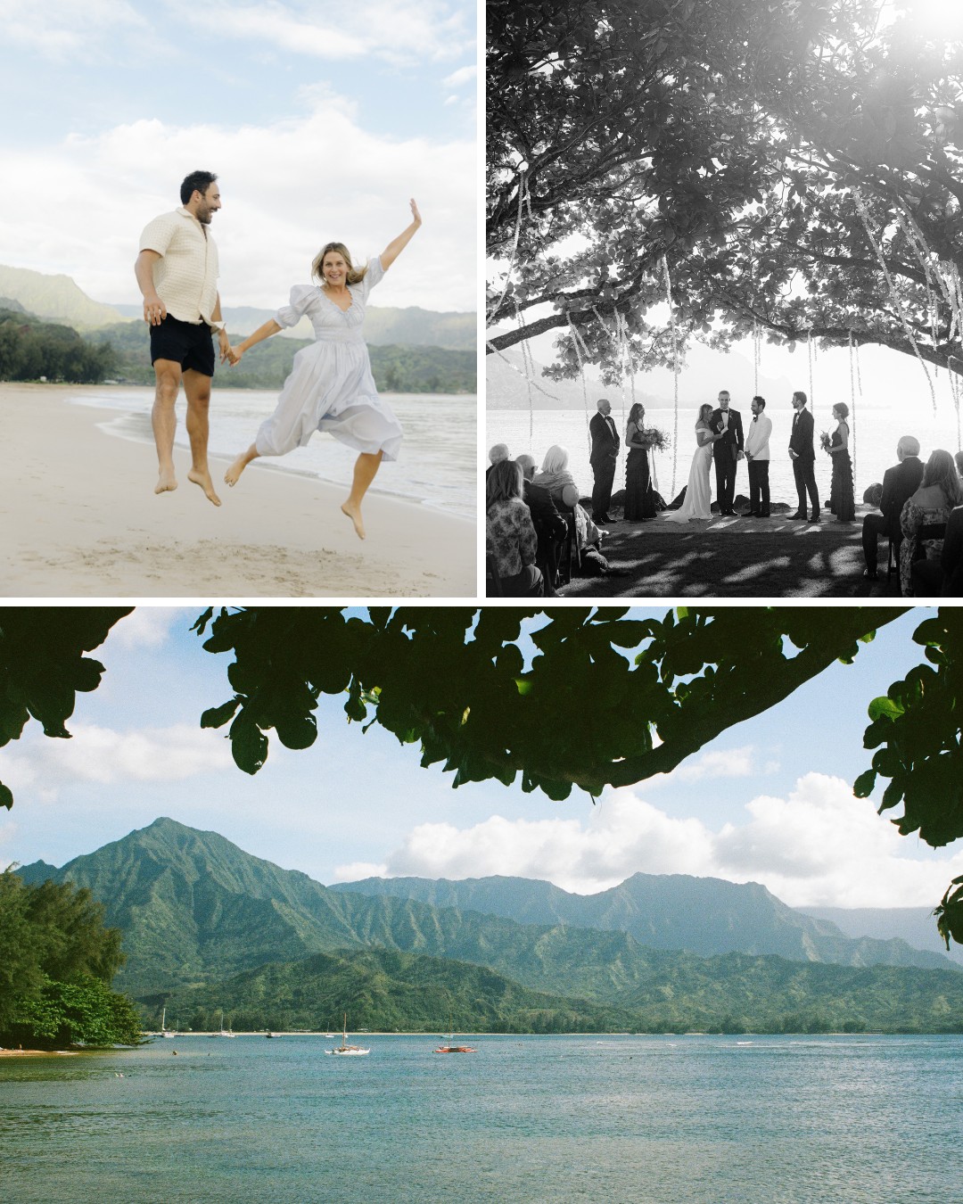 Top left: A joyful couple holding hands and jumping on a beach. Top right: A black and white photo of a wedding ceremony under a large tree. Bottom: A scenic view of mountains and a calm ocean, framed by tree leaves.