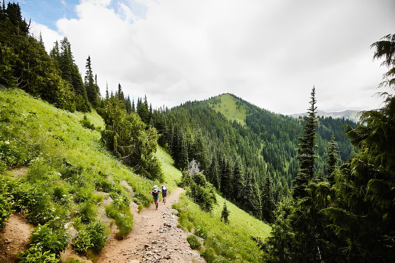 A group of hikers walks along a dirt trail on a lush green hillside surrounded by dense pine trees under a cloudy sky. In the distance, a peak covered in greenery can be seen. The path is rocky and the scene is tranquil and scenic.