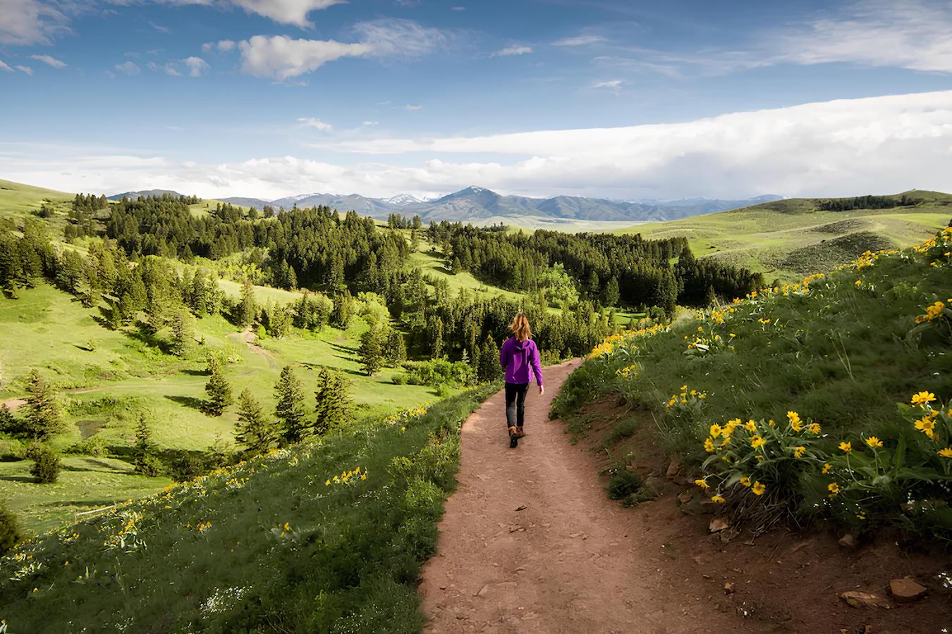 A person in a purple jacket walks along a dirt path winding through a lush, green landscape with rolling hills, wildflowers, and dense forests under a cloudy blue sky. Snow-capped mountains are visible in the distance.