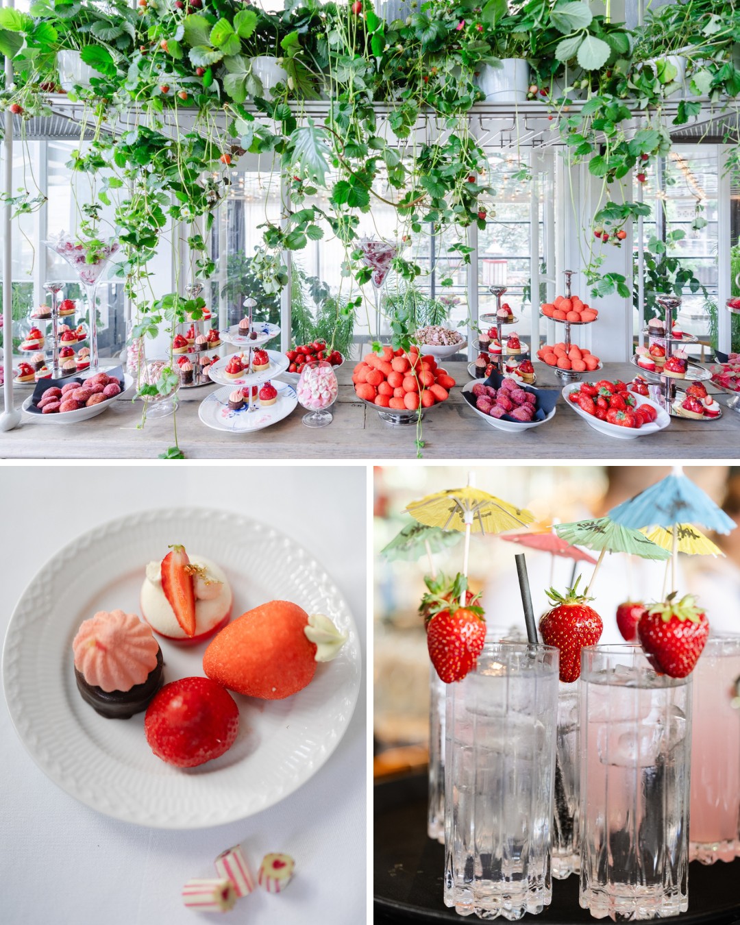 A variety of desserts and fresh fruits are displayed on white plates under hanging plants. Close-up images show pastries and themed drinks garnished with berries.