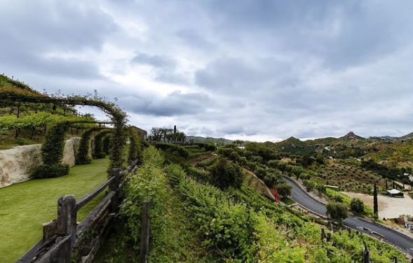 View of a hilly landscape with lush greenery, a winding road, wooden railing, and cloudy sky.