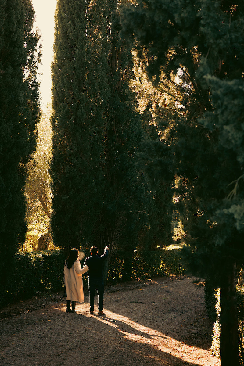 Two people walk together on a tree-lined path, with tall evergreen trees casting long shadows in the sunlight.