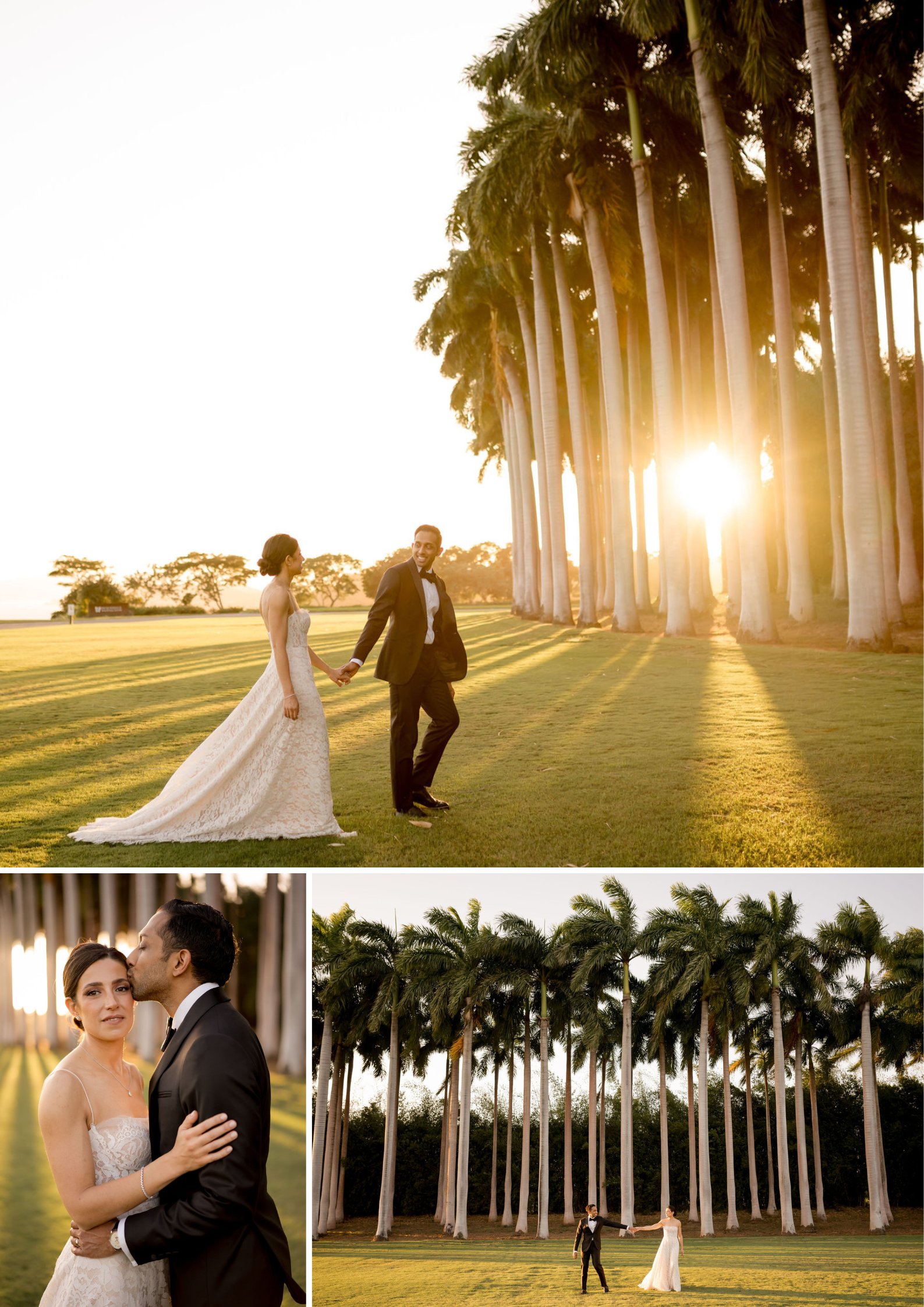 A bride and groom walk and pose together in a sunlit field lined with tall palm trees, captured during their wedding photoshoot.