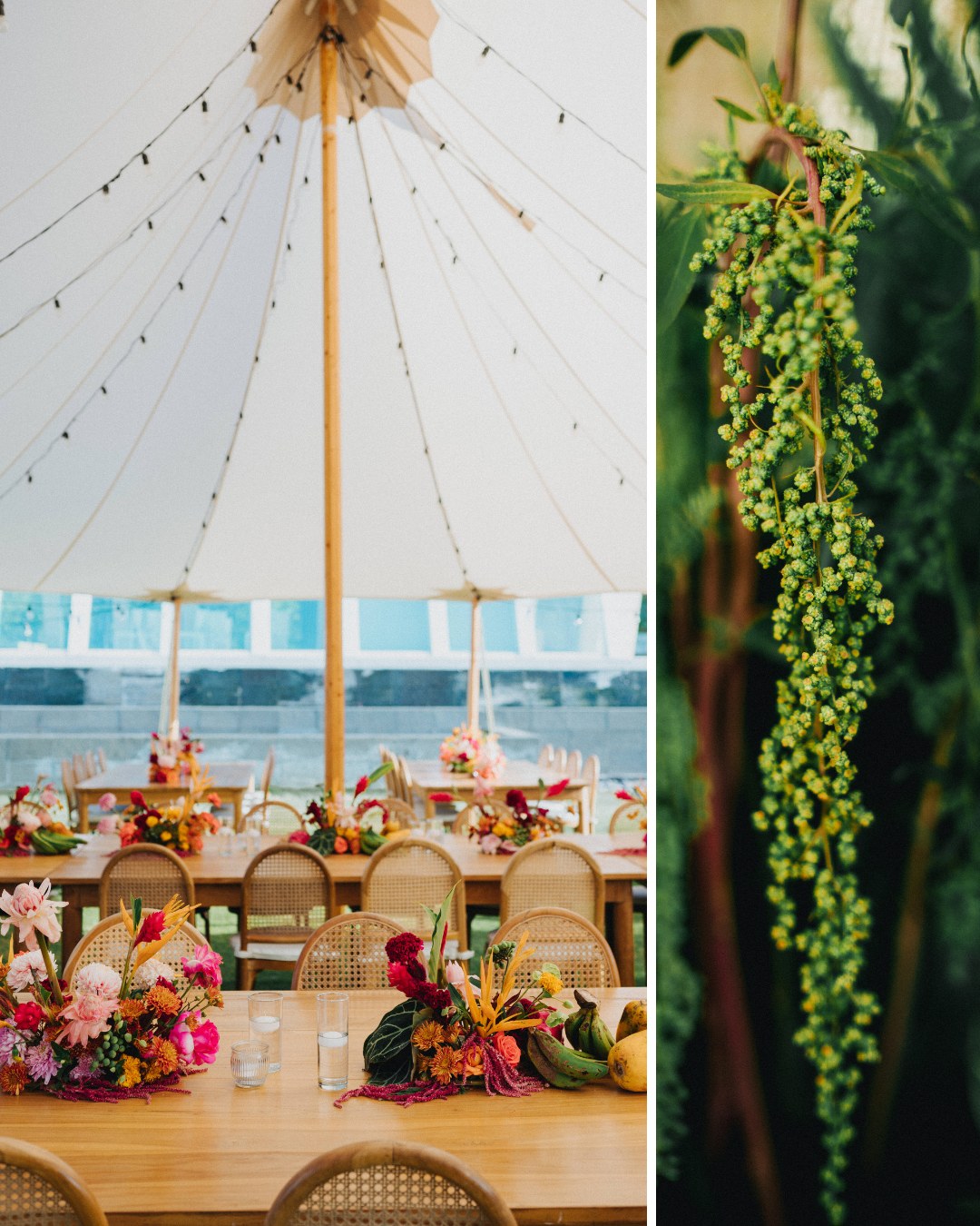 A decorated event table under a tent with floral centerpieces and hanging lights, next to a close-up of green hanging plant leaves.