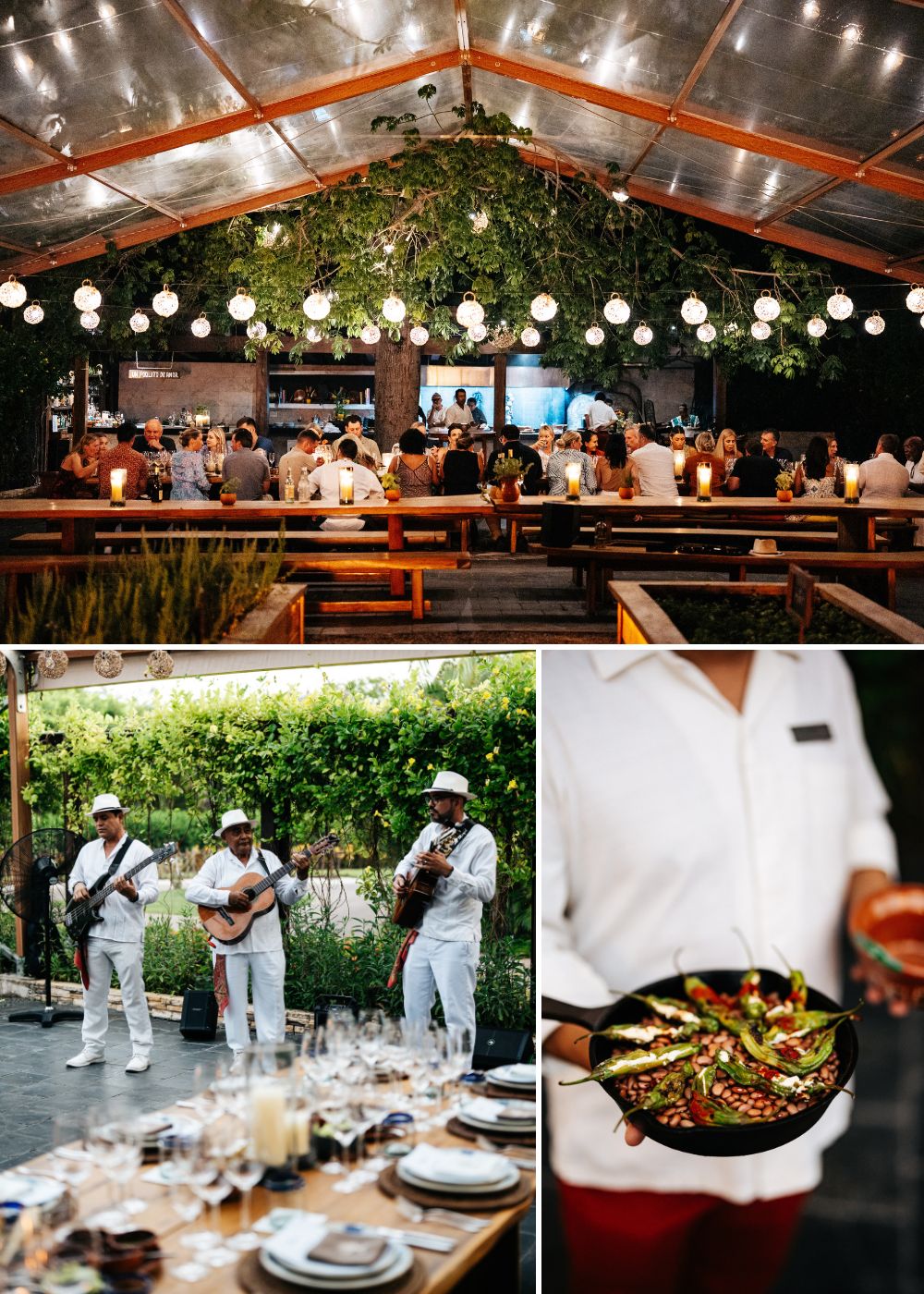 A group dines under a canopy with hanging lights; below, musicians in white play guitars, and a server holds a plate of appetizers near a set dining table.