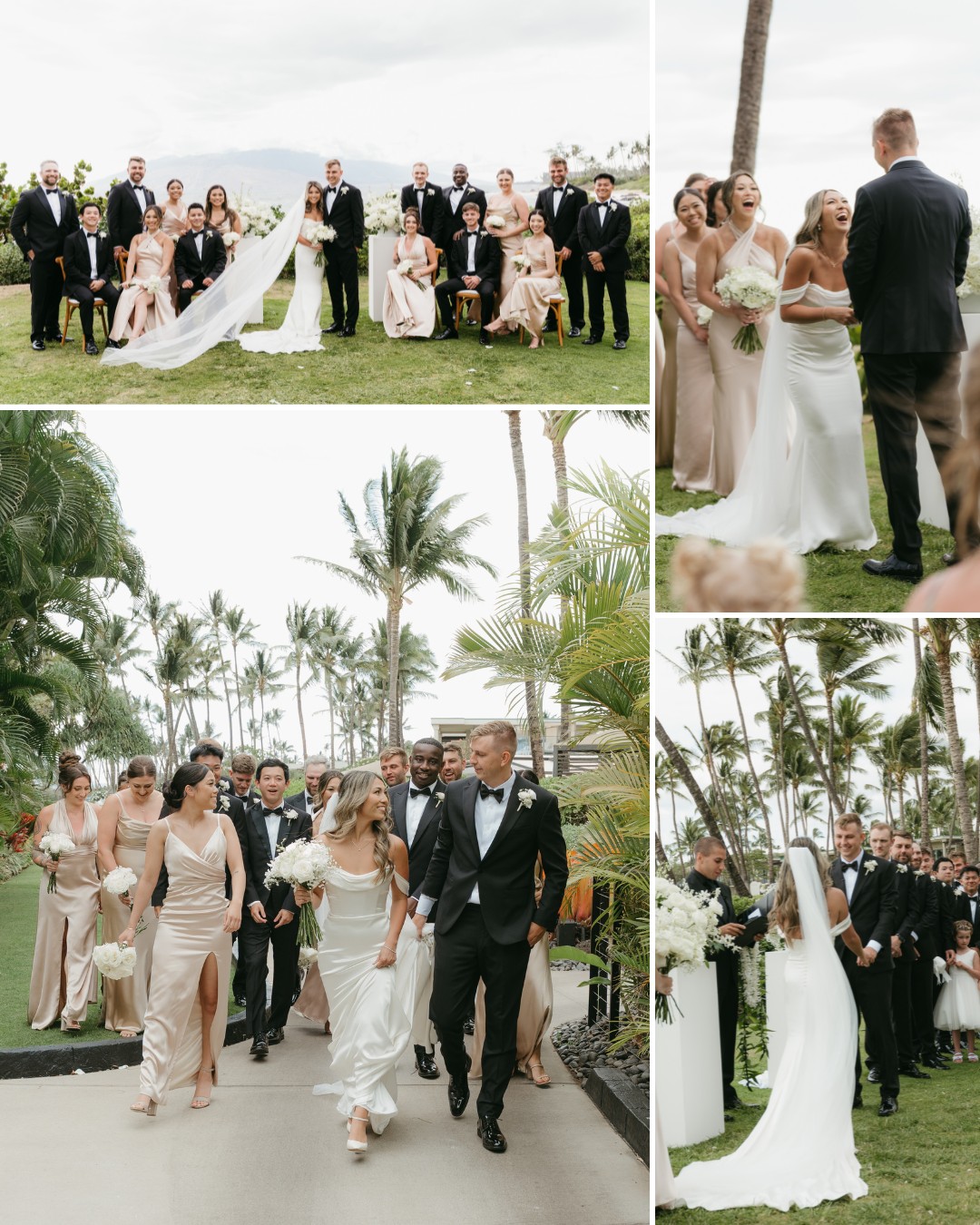 A collage of wedding photos shows the bride, groom, wedding party, and guests outdoors among palm trees, with formal attire and floral decorations.