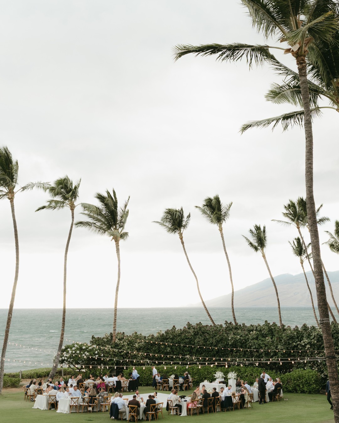 Outdoor event with people seated at round tables on a lawn near the ocean, surrounded by palm trees under a cloudy sky.