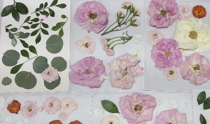 Assorted pink, peach, and white flowers and green leaves are arranged in a flat lay pattern on a white background.