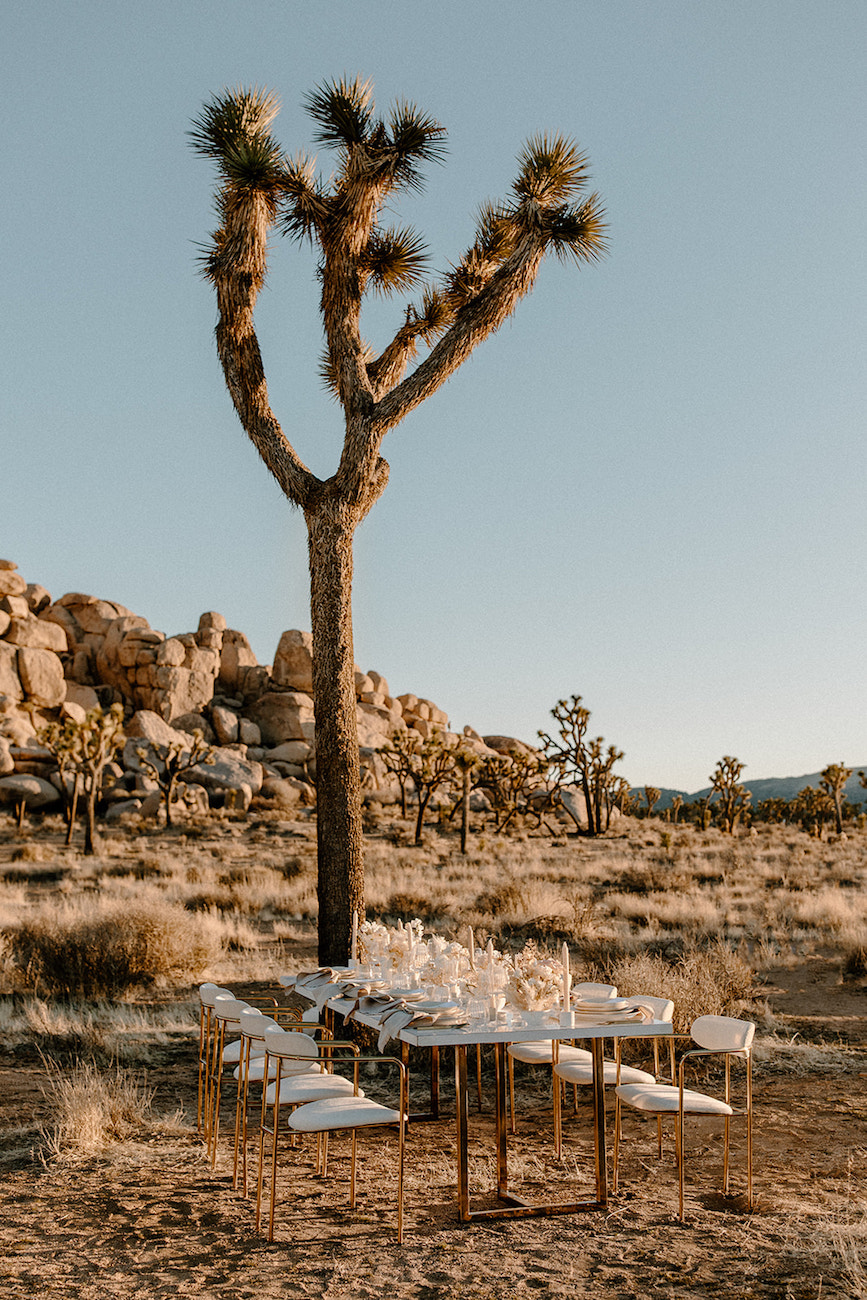 A long dining table with white chairs is set up under a Joshua tree in a desert landscape with rocks and sparse vegetation.