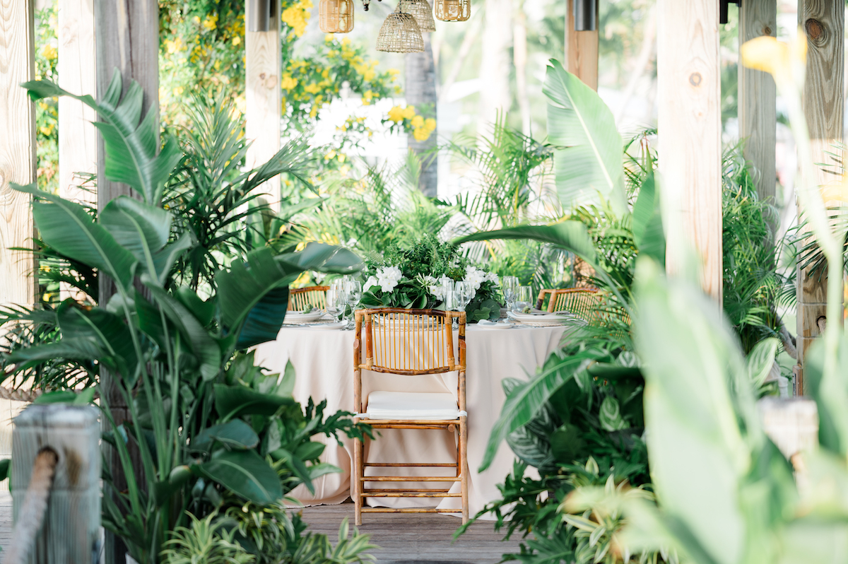 A table set for dining is surrounded by lush green plants and wooden chairs in an outdoor, tropical garden setting.