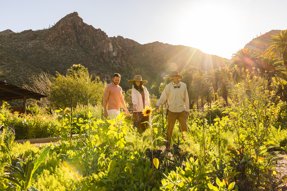 Three people walk through a lush garden with mountains and the sun in the background, surrounded by greenery and plants.