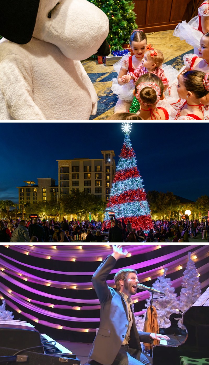 Three stacked images: children with a Snoopy mascot, a large outdoor Christmas tree at dusk, and a musician performing on stage with festive decorations.