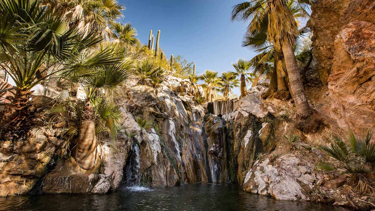 A desert oasis with tall palm trees surrounds a rocky waterfall flowing into a dark pool under a clear blue sky.