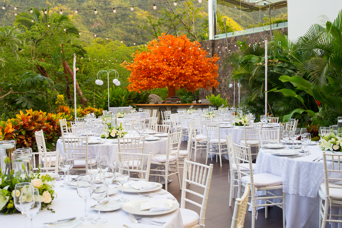 Outdoor event space set with round tables and white chairs, decorated with white flowers, surrounded by lush greenery and an orange-leaved tree as a focal point.