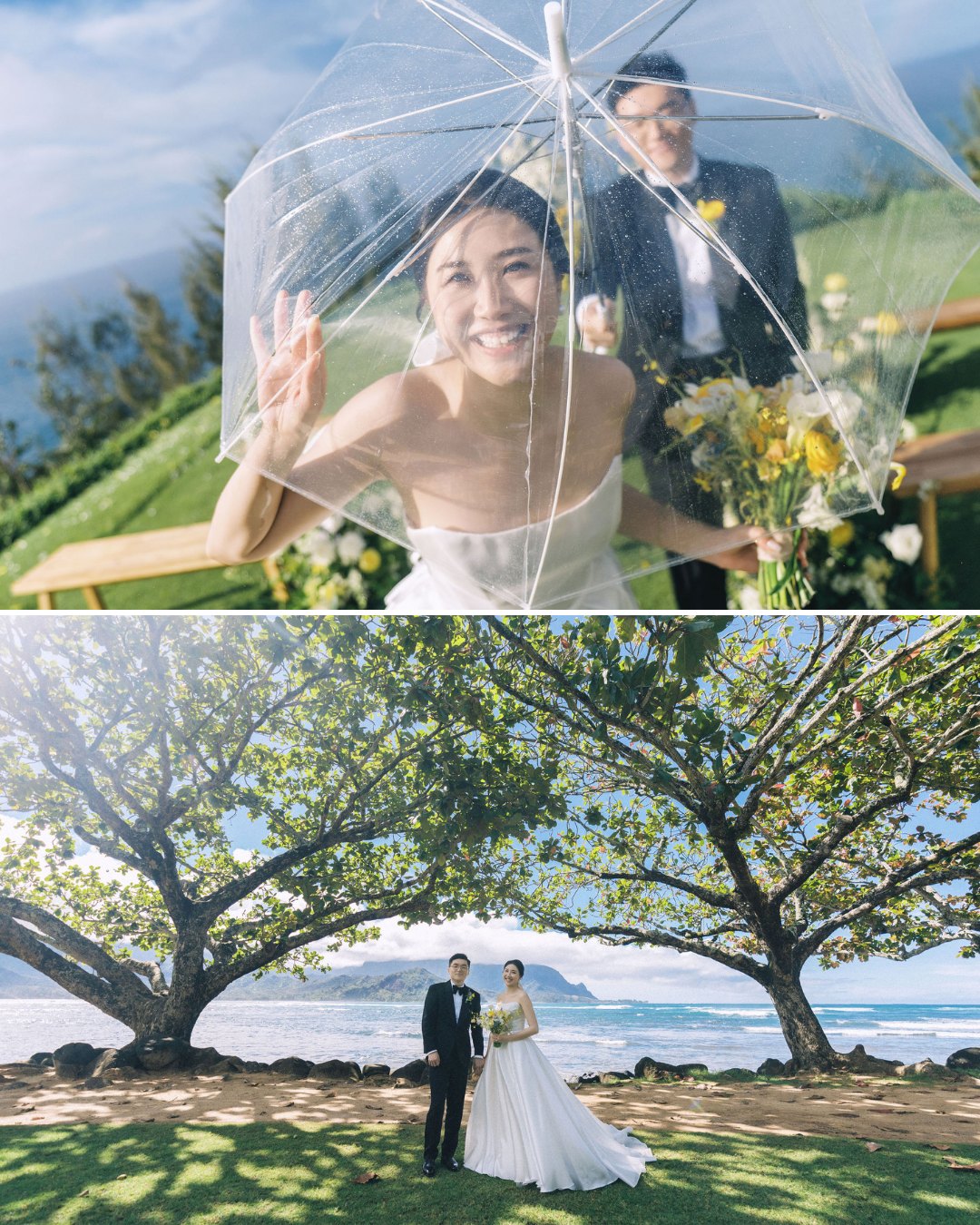 A bride and groom pose outdoors on a sunny day; in one image, they smile under a clear umbrella, in the other, they stand together beneath large trees by the sea.