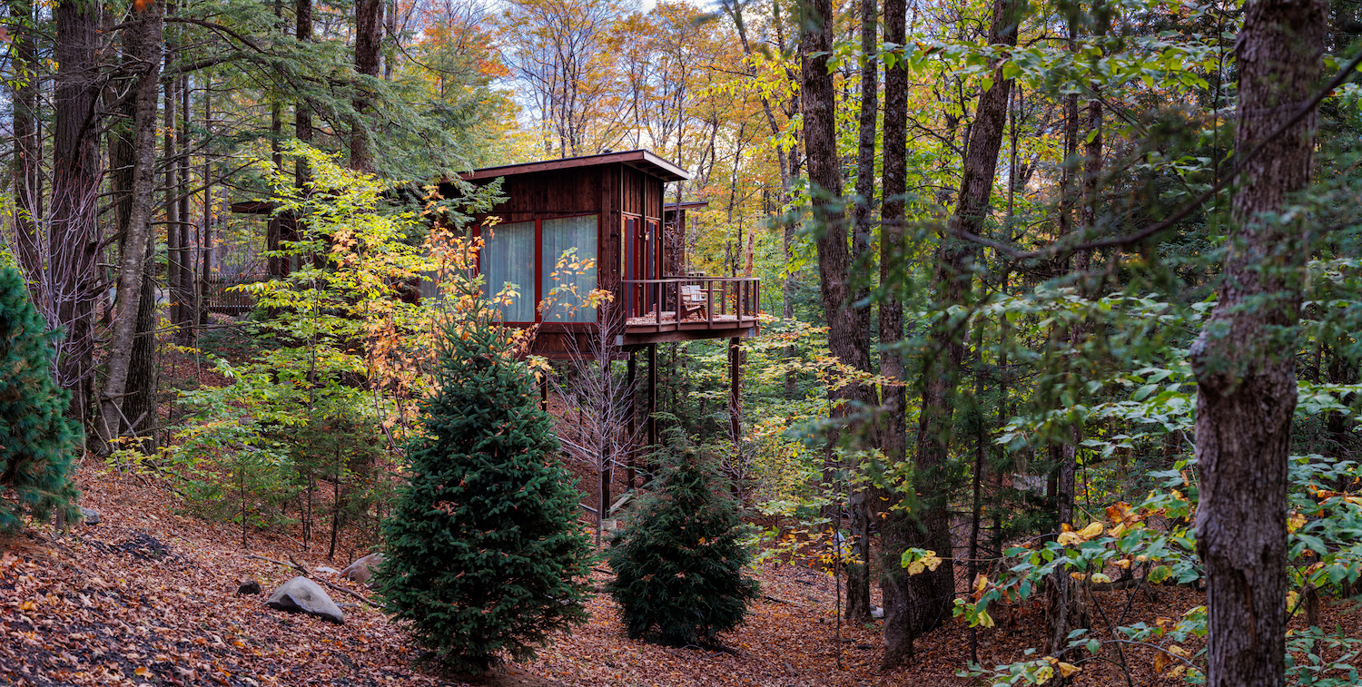 A small wooden treehouse with large windows is elevated among tall trees in a forest during autumn, surrounded by colorful foliage and evergreen trees.