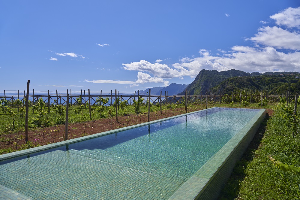 A rectangular swimming pool with clear water is set outdoors, surrounded by greenery, with mountains and blue sky in the background.