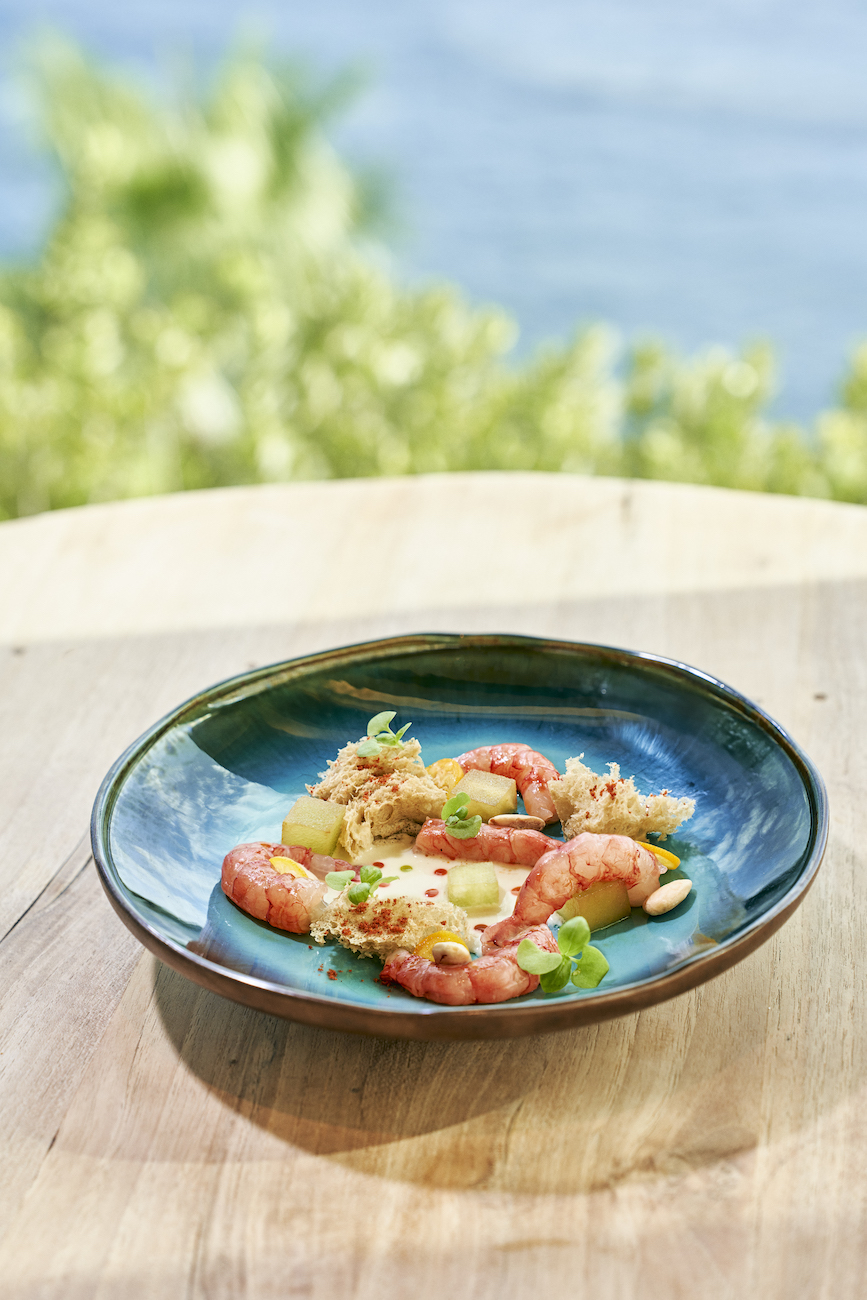 A blue plate with shrimp, sauce, small bread pieces, herbs, and garnishes is set on a wooden table with a blurred outdoor background.