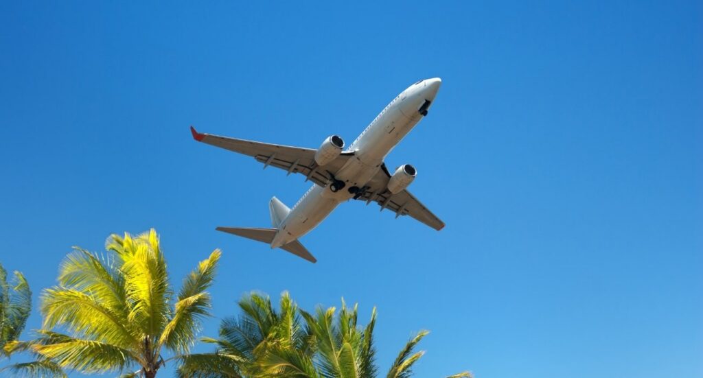 A commercial airplane flies low over palm trees against a clear blue sky.