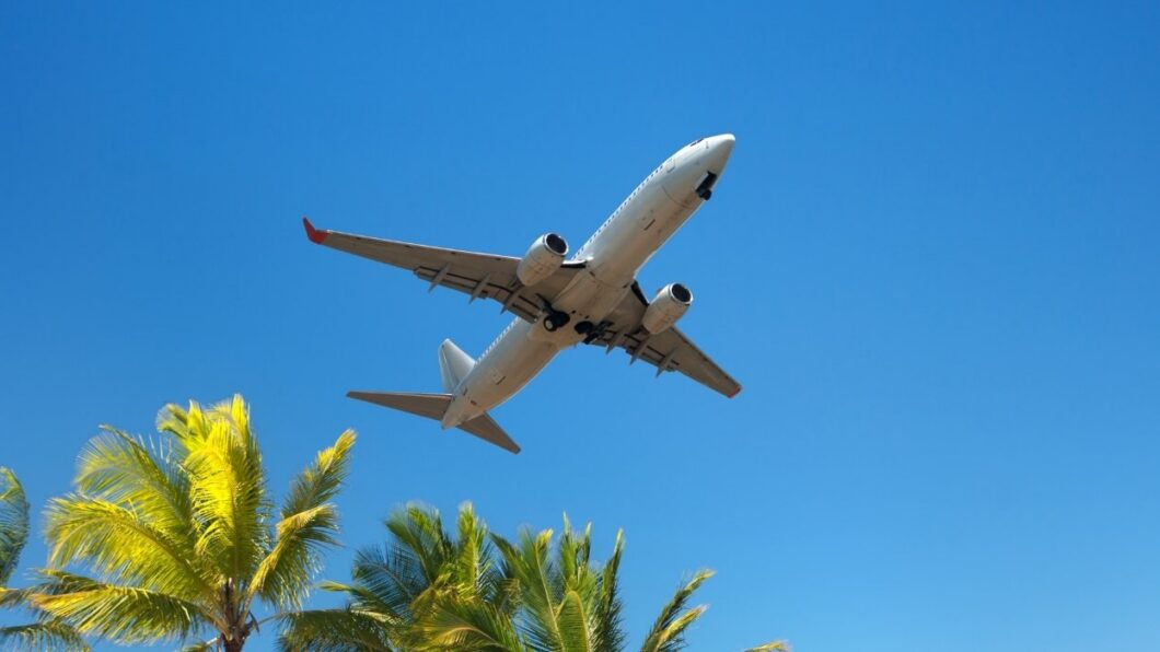 A commercial airplane flies low over palm trees against a clear blue sky.