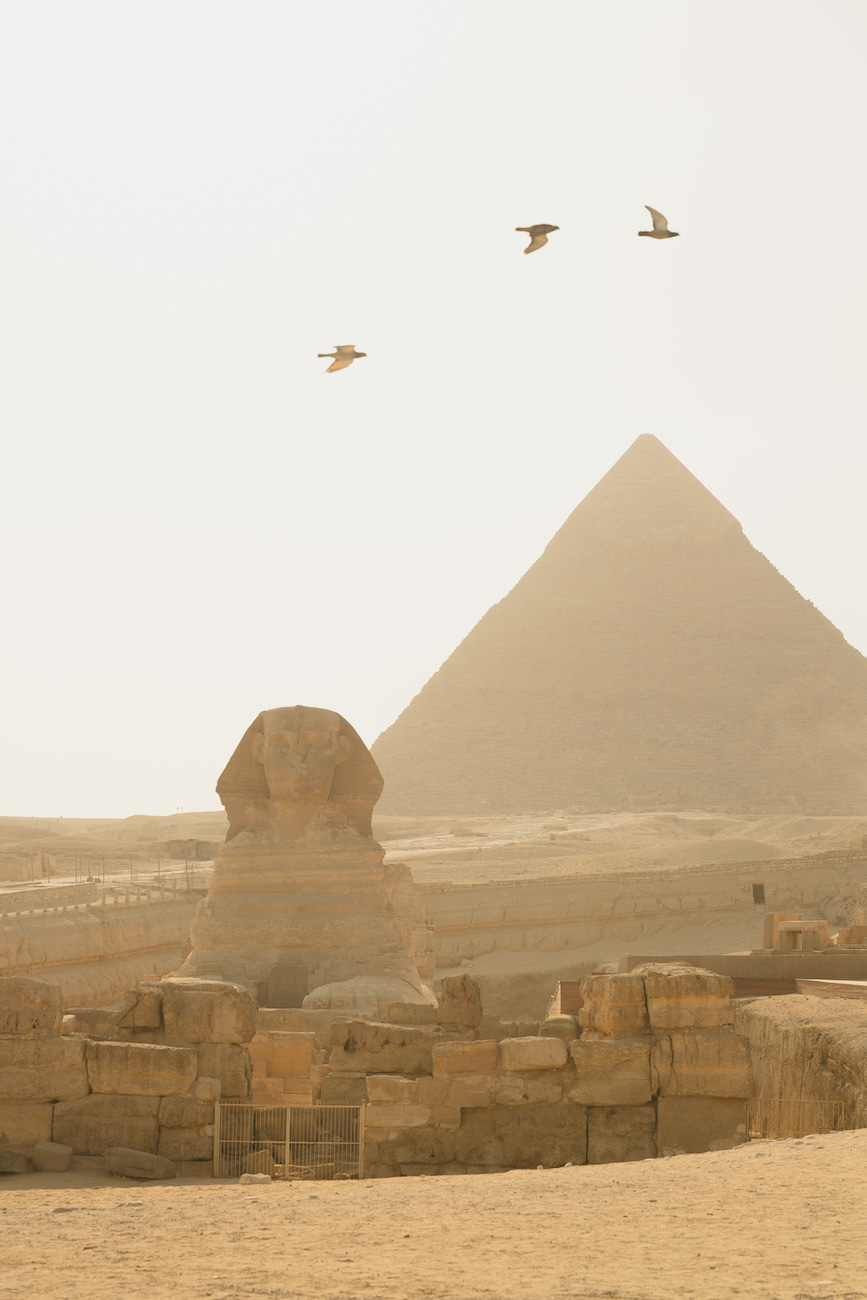The Great Sphinx and a pyramid in Giza, Egypt, are shown under a hazy sky with three birds flying above.