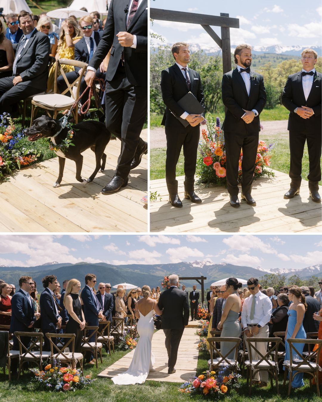 A bride walks down an outdoor aisle with guests seated on both sides; a dog is present; groomsmen and the groom stand at the altar under a wooden arch with floral decorations.