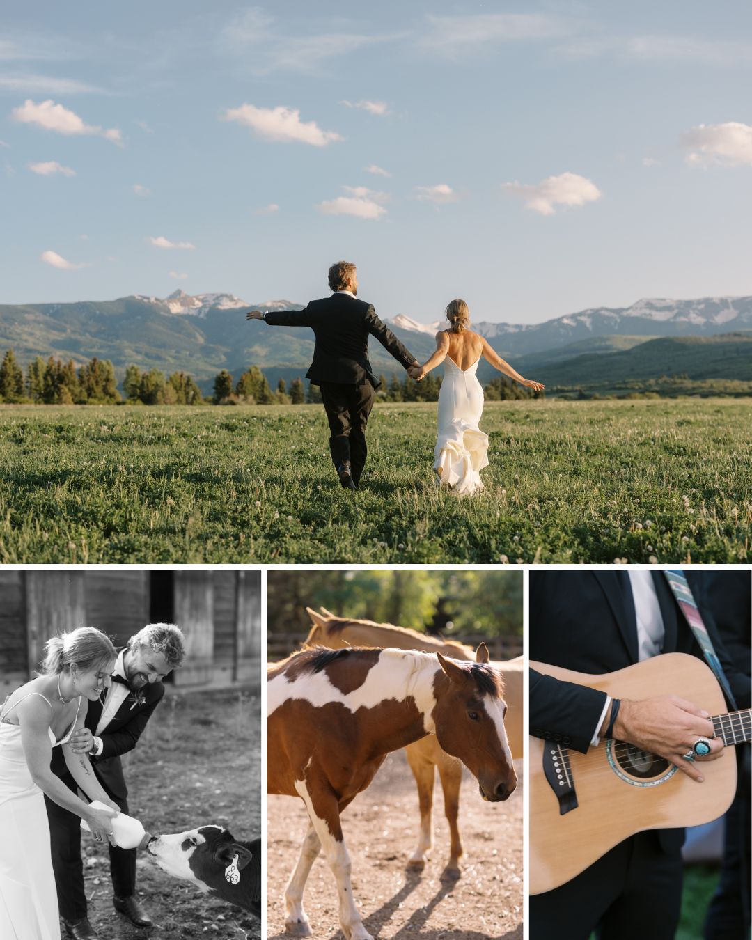 A bride and groom walk in a field with mountains behind them; below, they feed a calf, a horse stands, and a person plays an acoustic guitar.