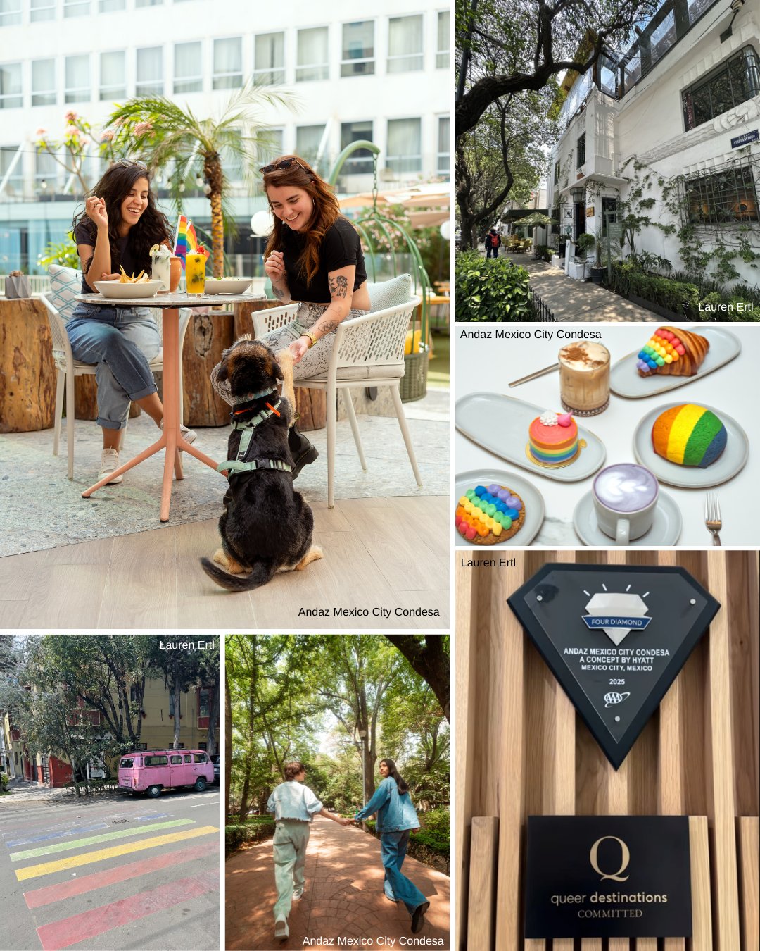 A collage shows two women with a dog at a cafe, rainbow-themed pastries, a city street, a rainbow crosswalk, a couple walking, and a "queer destinations" plaque.