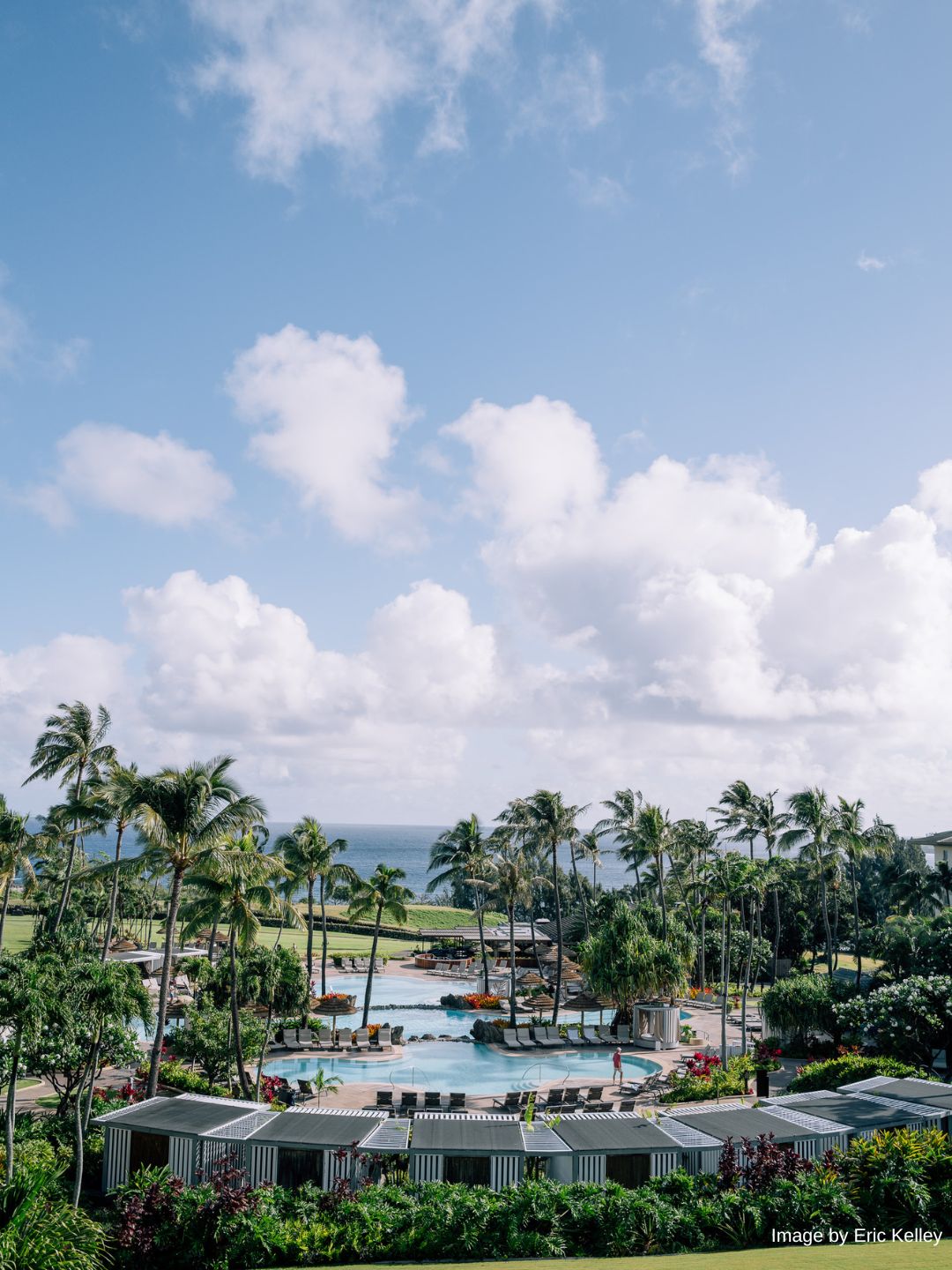 A resort pool area surrounded by palm trees and greenery, with the ocean visible in the background under a partly cloudy sky.